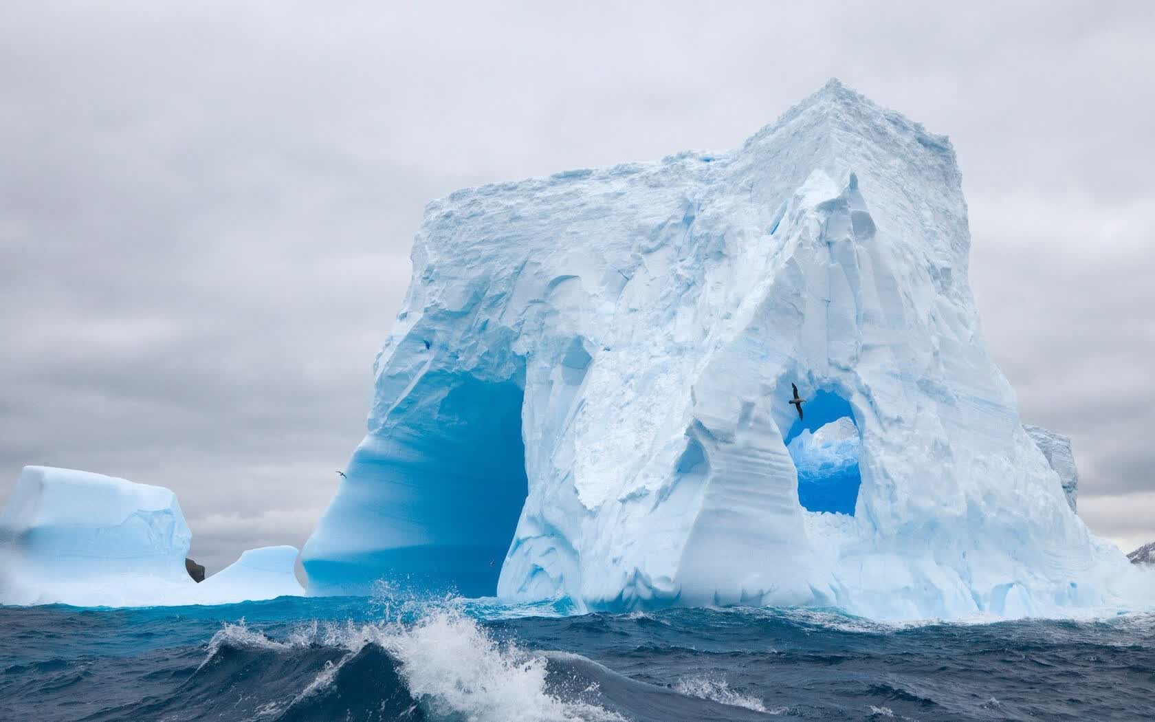 世界举重公开赛赛后营养与恢复教材全国推广第二阶段启动，世界举重比赛现场视频